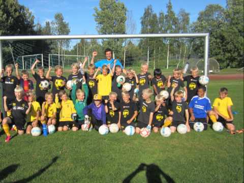 MPS Kausikooste 2013