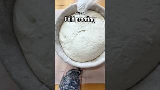 3 day cold proof! What happens to your dough #sourdoughscoring #sourdoughbread