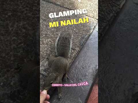 GLAMPING MI NAILAH Cerrito Valle del Cauca Colombia #shorts