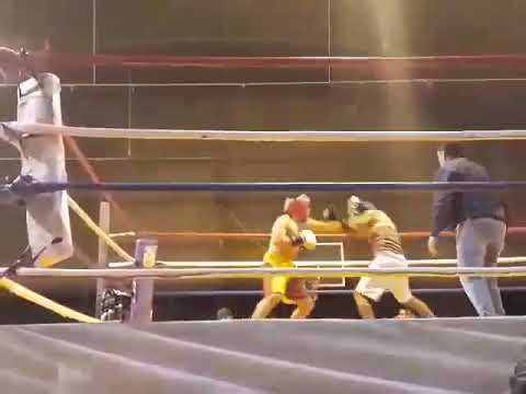 Box embarcación salta argentina..