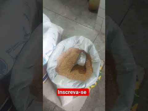 mercado público de Orobó PE