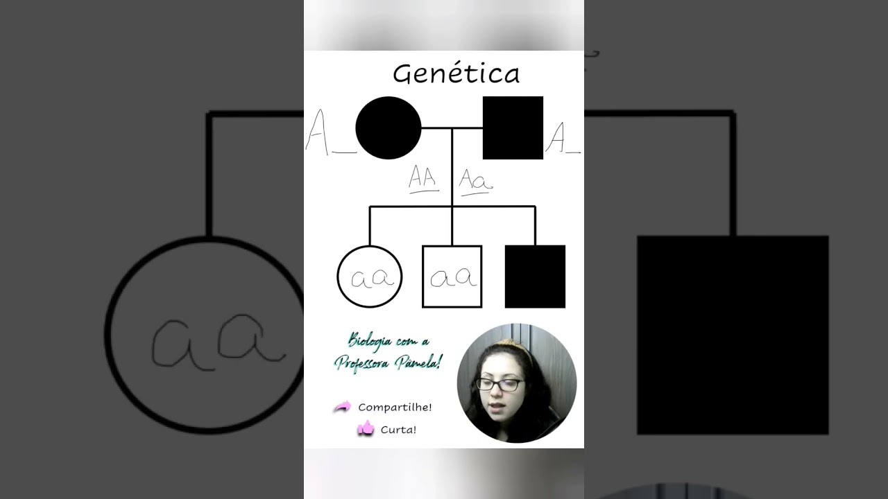 #biologia #genética #heredograma #ensinomedio #recessivo #heterozigoto #homozigoto #dominante