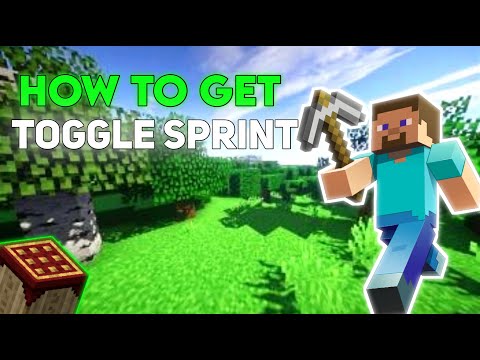 Ultimate Minecraft Hack: Toggle Sprint (No Mods)