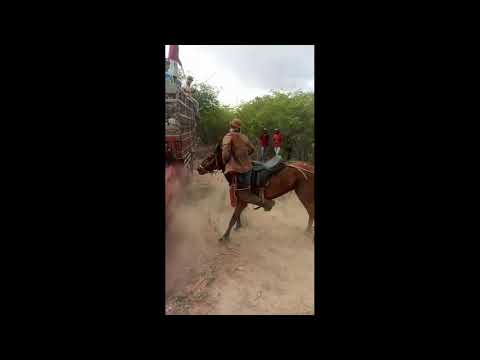 Toada Bom vaqueiro e o ruim ft:alon zoa