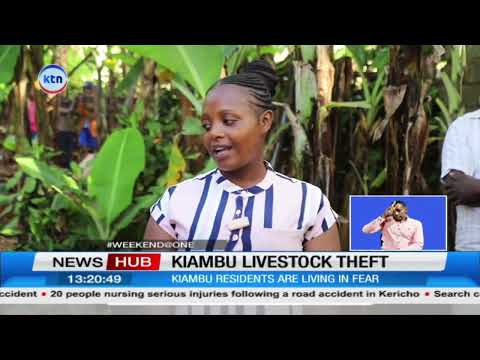 Mysterious livestock theft leaves families devastated in Kiambu
