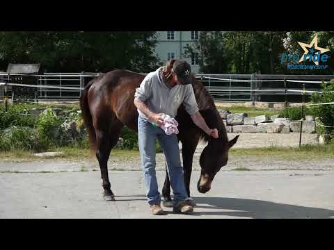 TRAILER Lehrserie "Alltagshandling von Basic bis Advanced"