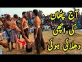 Ghulam Hussain Pathan Malakhro Malakhra Sindh Thar Malh 2022 New Video 2022 2023 Zabardast Malh