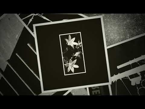 Stellar Void - LUCIDERANGED