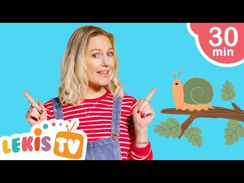 Lilla Snigel | Barnsånger Med Vanja