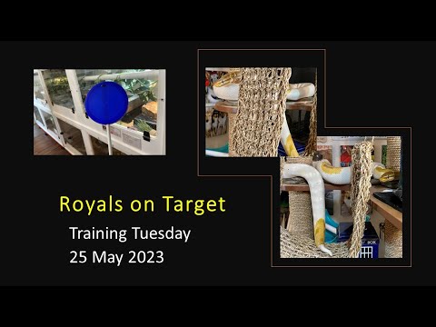 Royals on Target