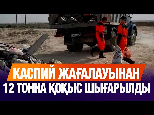 Каспий жағалауынан 12 тонна қоқыс шығарылды