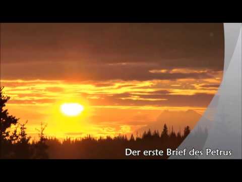 Der erste Brief des Petrus