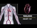 Annonce émission - Heart 101 - National Geographic