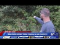 Man finds hidden TWRA camera on his property