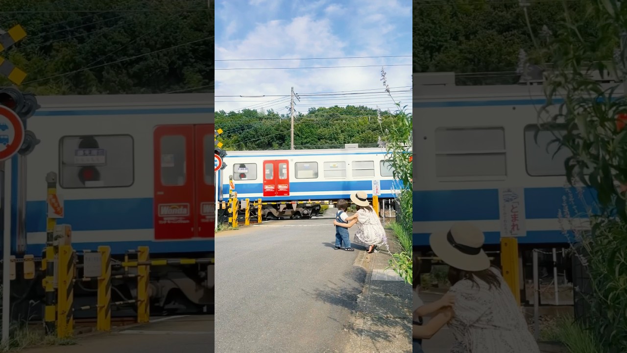 田舎の夏 #静岡 #静岡県 #日本の風景 #日本の景色 #観光 #夏 #japan #japantrip #japantravel #traveljapan #summer #伊豆の国市