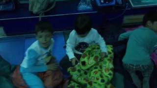 Durmiendo con tiburones