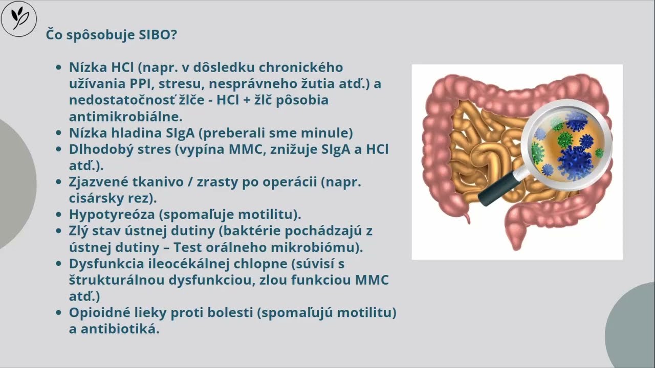 3. Odhaľte 8 príčin únavy – Lekcia 2: Zdravie čriev
