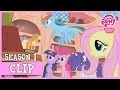 Zecora's Curse (Bridle Gossip) | MLP: FiM [HD]