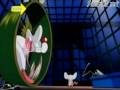 Pinky And The Brain Intro Theme Closed Captions