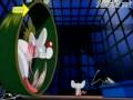 Pinky and the Brain - Intro Theme (closed captions ...