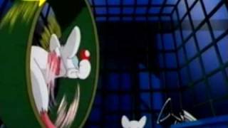 Pinky and the Brain - Intro Theme (closed captions)