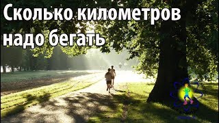 Смотреть онлайн Какое расстояние нужно бегать, чтобы было полезно