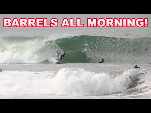 Have you EVER seen this many Barrels?