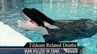 Deadly Attack at Sea World