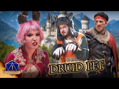 Never Adopt a Pet in D&D