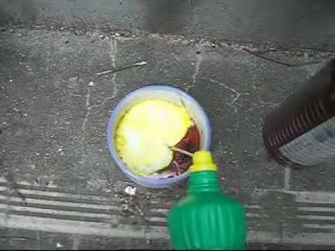 【硫化水素】　ムトウハップとサンポールの混合実験　【化学実験】 trailer