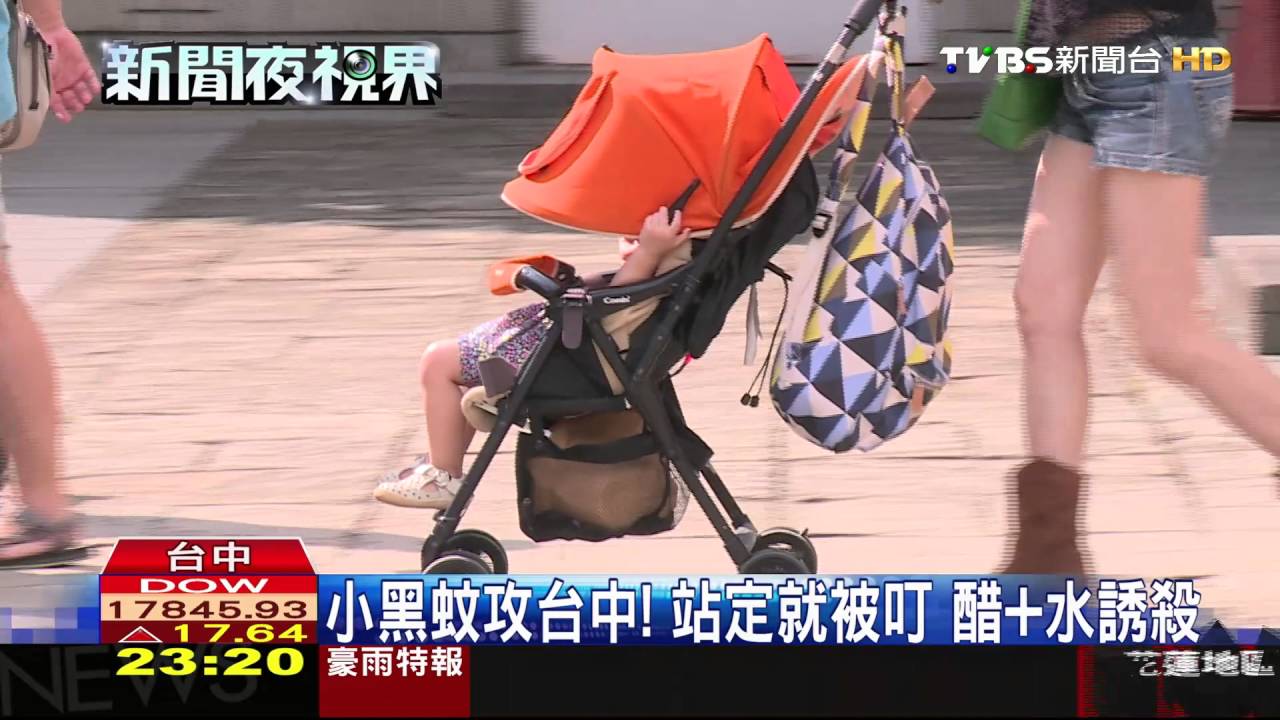 小黑蚊攻台中!站定就被叮 醋+水誘殺