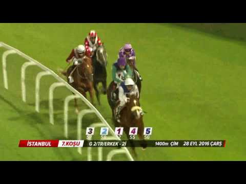 T.Y.A.Y.S. Derneği Koşusu (Grup - 2 / E) 28/09/2016