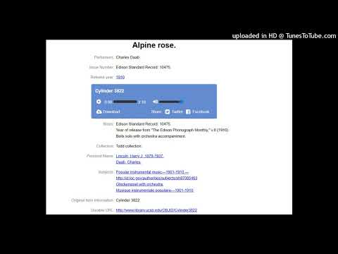 Charles Daab - Alpine Rose