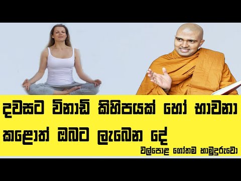 දවසට විනාඩි කිහිපයක් හෝ භාවනා කළොත් ඔබට ලැබෙන දේ | Walpola Gothama Thero Dharma Deshana