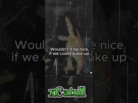 wouldn't it be nice if we were older #music #thebeachboys #wouldntitbenice