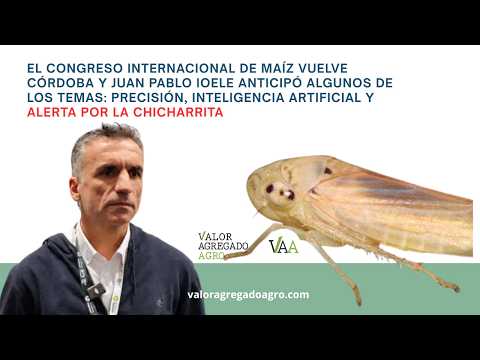 Congreso Internacional de Maíz 2026: Ioele alerta por la chicharrita y anticipa todas las novedades