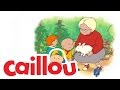 Caillou Caillou S Coins S03E02 Cartoon For Kids