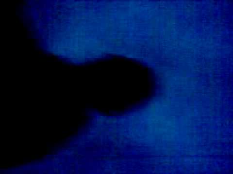 dracea nebunu de la marsa