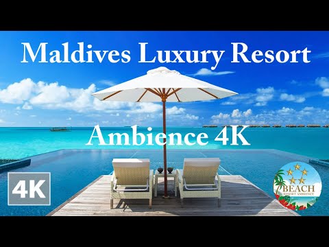 Tropical Beach Ambience Conrad Maldives 4K  pool ASMR Ambience - beach resort - relaxing ocean waves