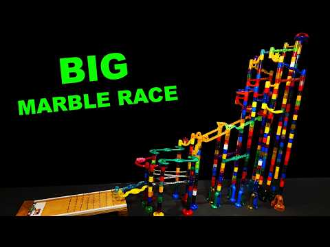 HUGE Marble Race Tournament Competition