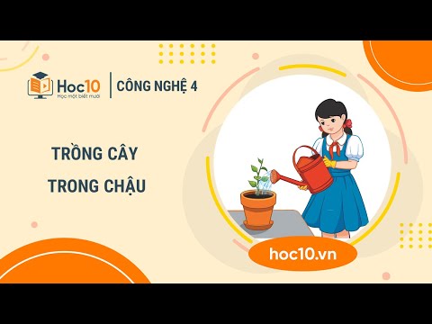 Trồng cây con trong chậu - Công nghệ 4