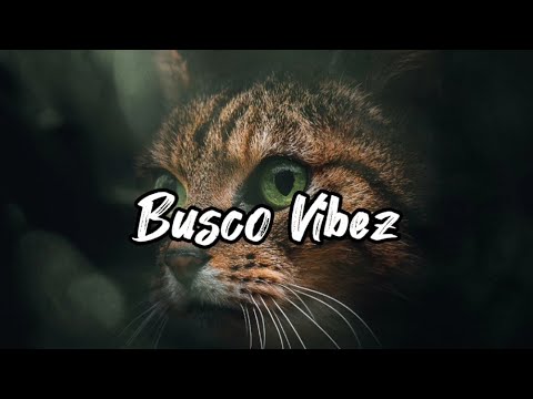 DJ Jargon ft. Bridgette Mars - Fyn Daddy [SleeBeatz ReMix]🇻🇺