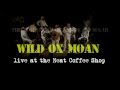 Wild Ox Moan - The Acoustical Sounds of Big Sugar