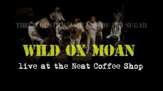 Wild Ox Moan - The Acoustical Sounds of Big Sugar