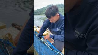 Download lagu Let's go fishing for flowerhorn fish again #fish #fishing #riedwanrichie mp3