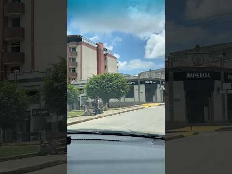 Cidade de Ervália Minas