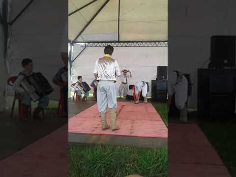 15 de novembro de 2017