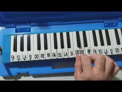 PARABÉNS NA ESCALETA.