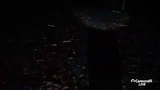 Download lagu fet kang ian creator youtube mp3