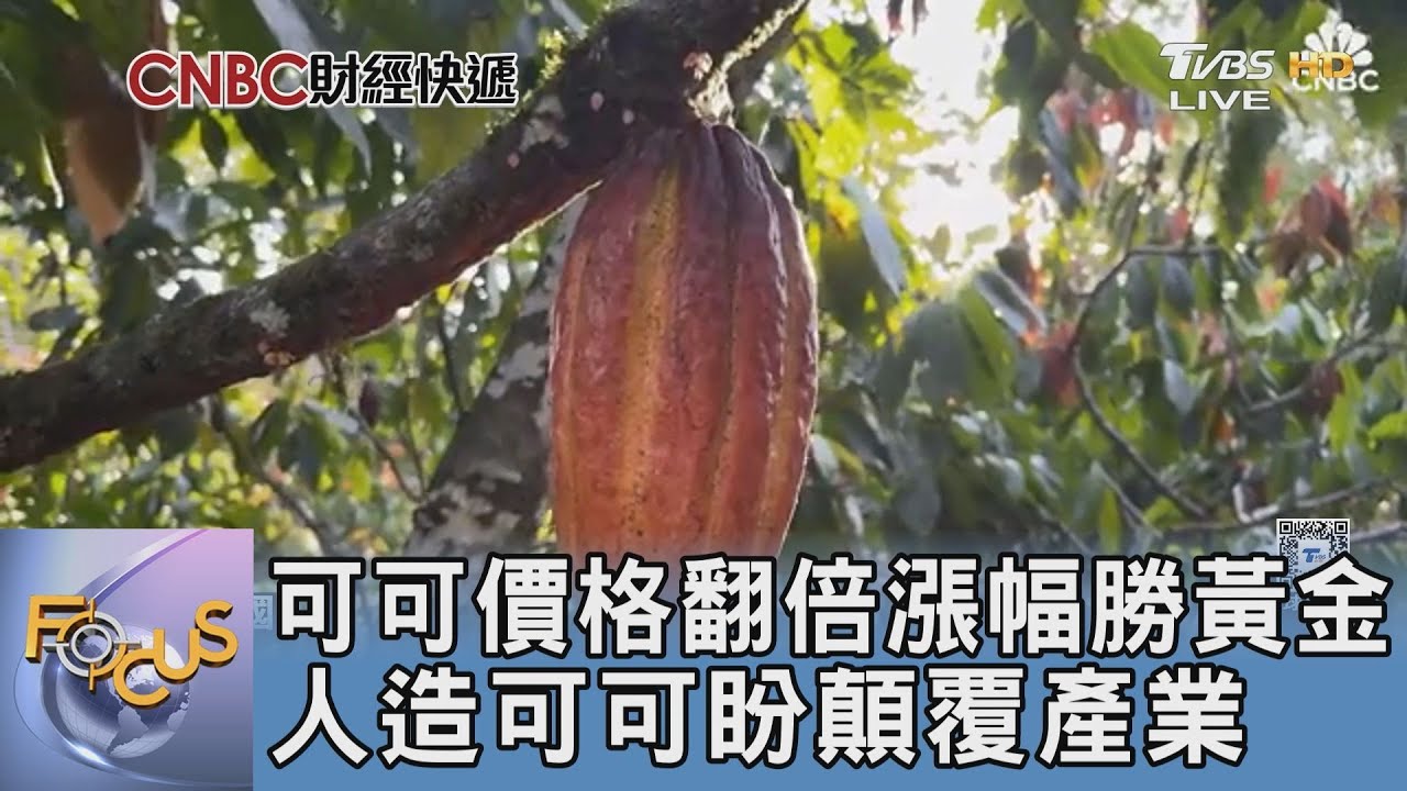 可可價格翻倍漲幅勝黃金 人造可可盼顛覆產業